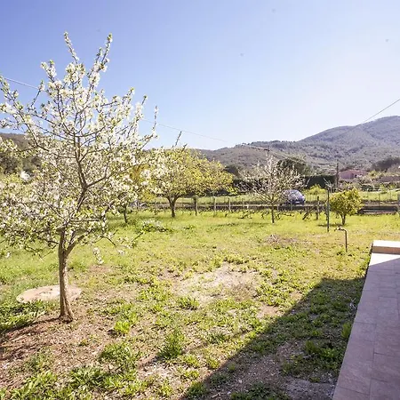 Villino Mediterraneo *